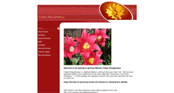 Desktop Screenshot of coleenshaughnessy.com